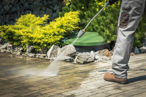 Best Spring Cleaning  in Southgate, FL
